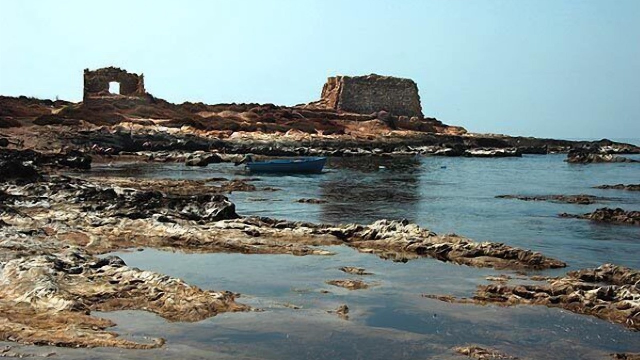 Photo of Others in Punta Braccetto