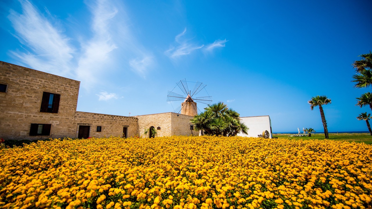 Photo of Outdoor in Casa Santa