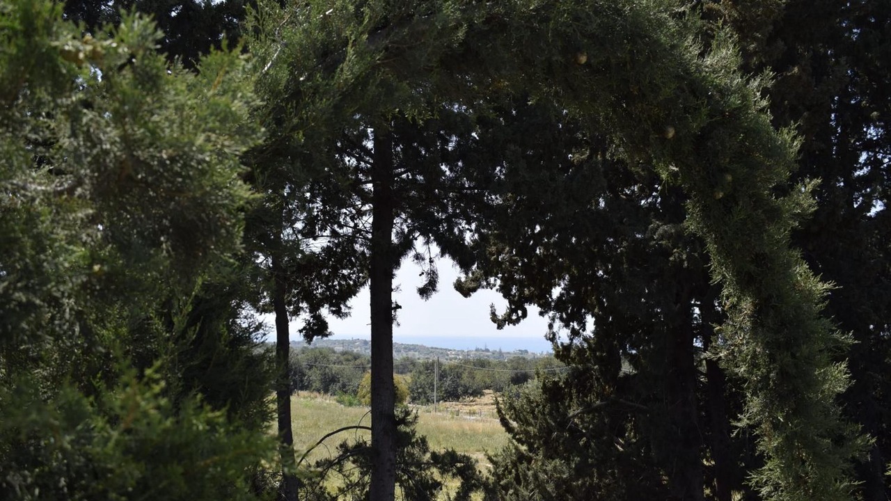 Photo of Outdoor in Ispica