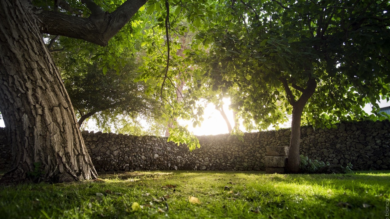 Photo of Outdoor in Noto