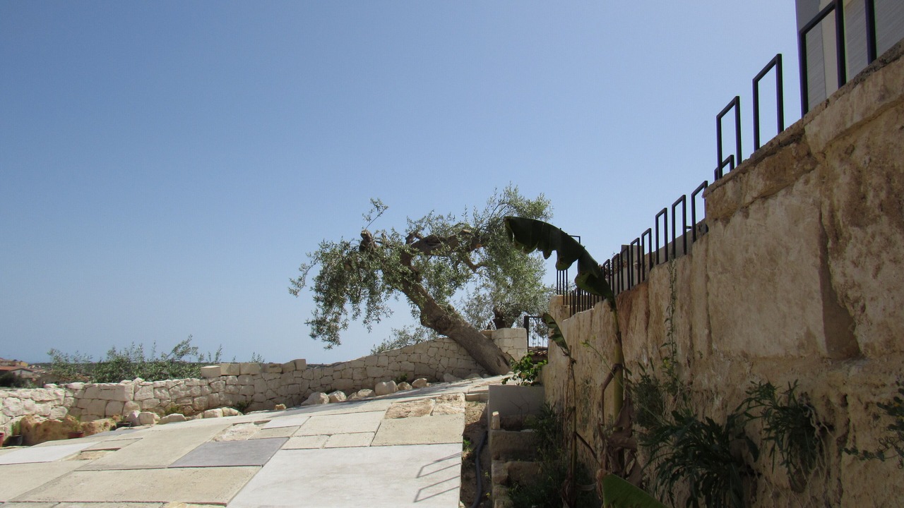 Photo of Outdoor in Noto Historic Centre