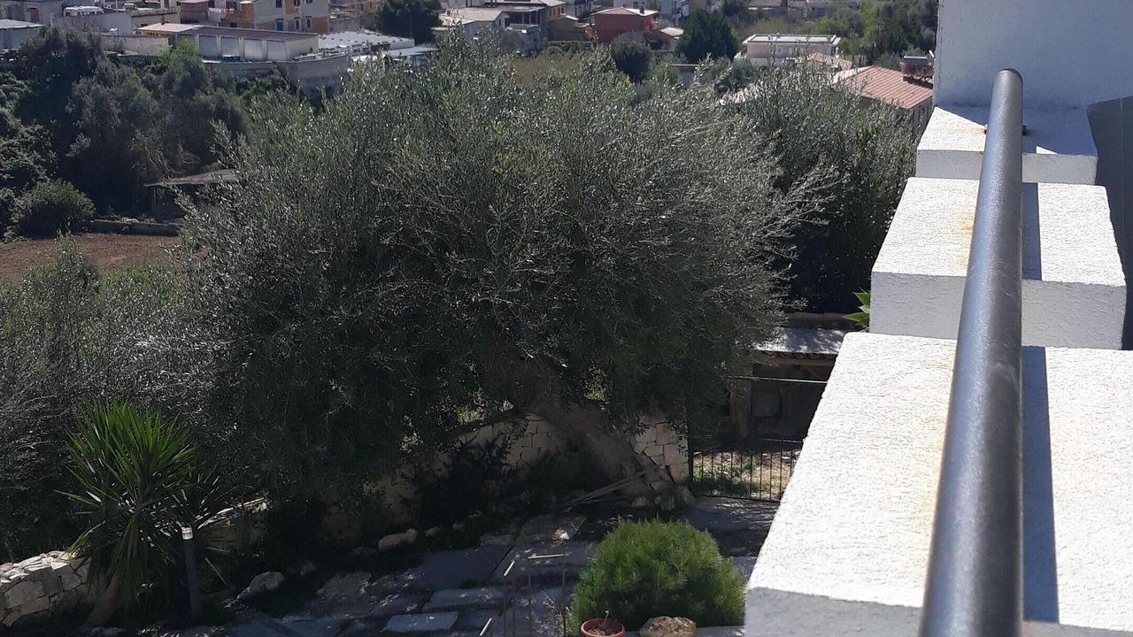 Photo of Outdoor in Noto Historic Centre