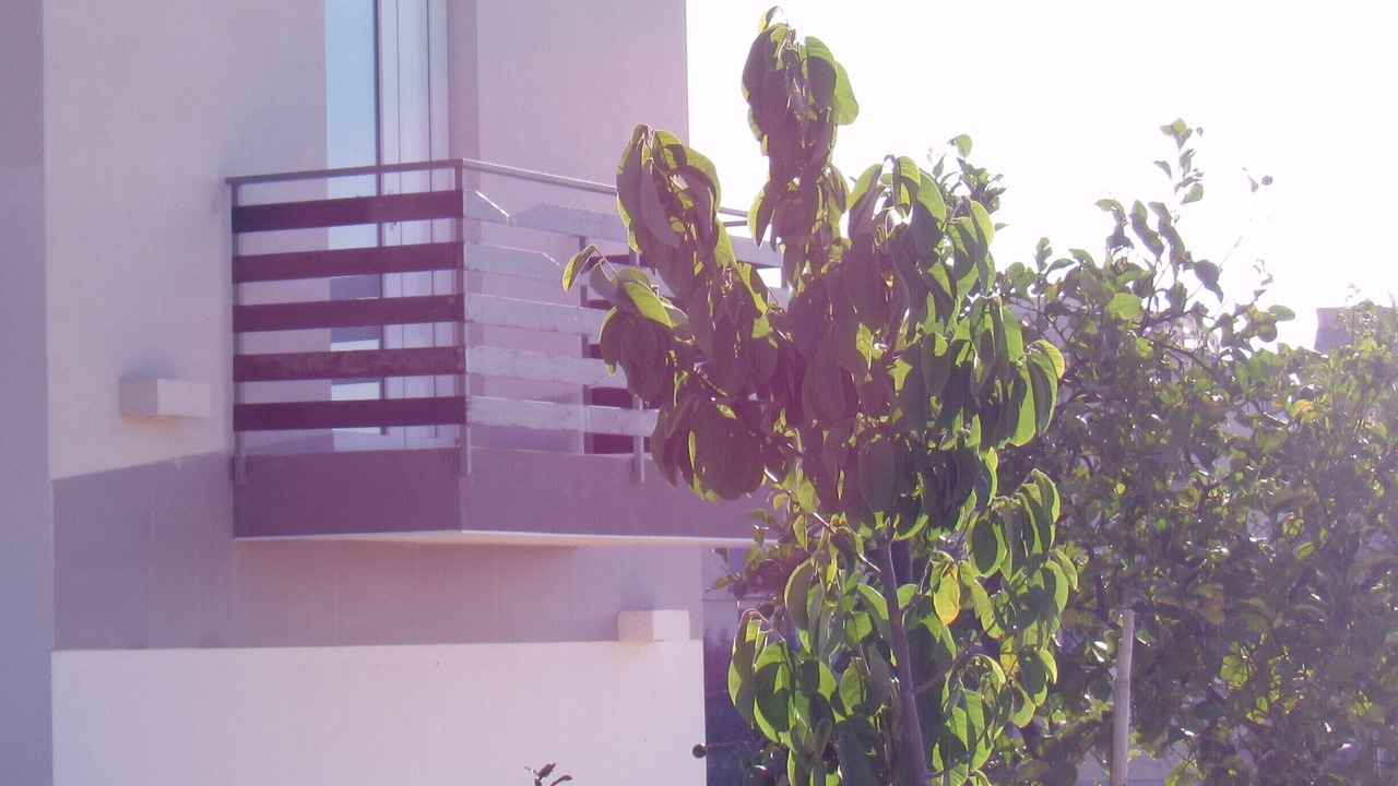 Photo of Outdoor in Noto Historic Centre