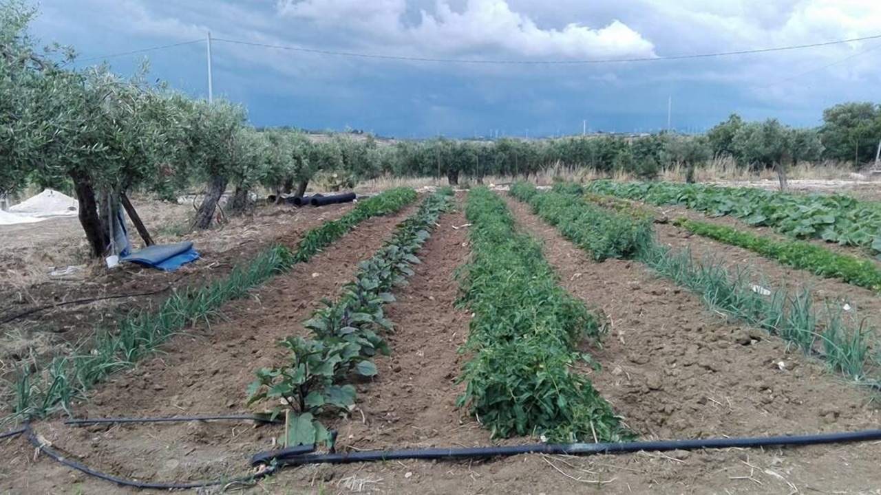 Photo of Outdoor in Menfi