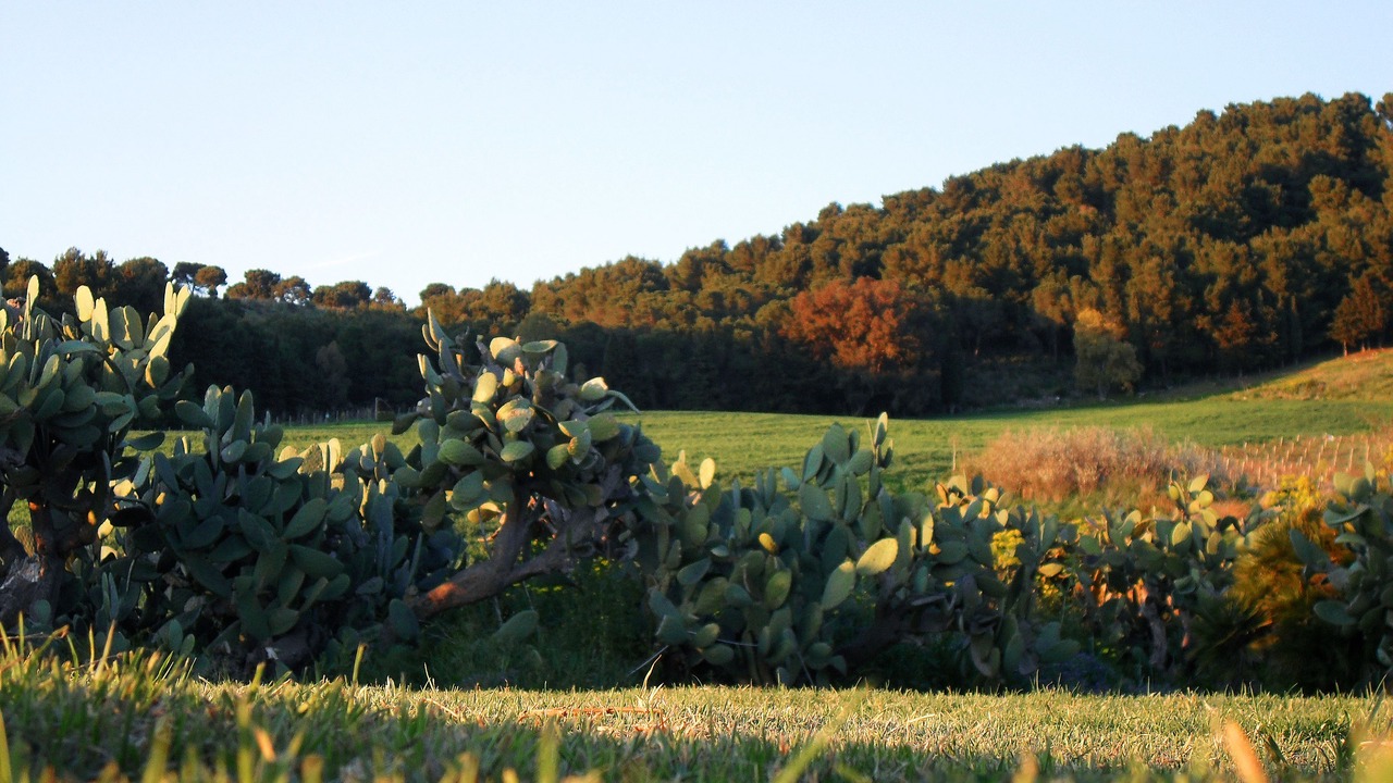 Photo of Outdoor in Calatafimi
