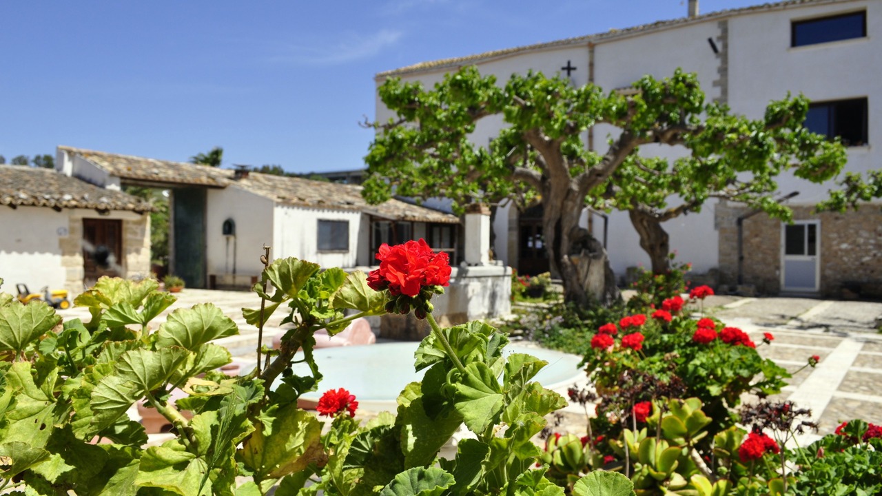 Photo of Outdoor in Partinico