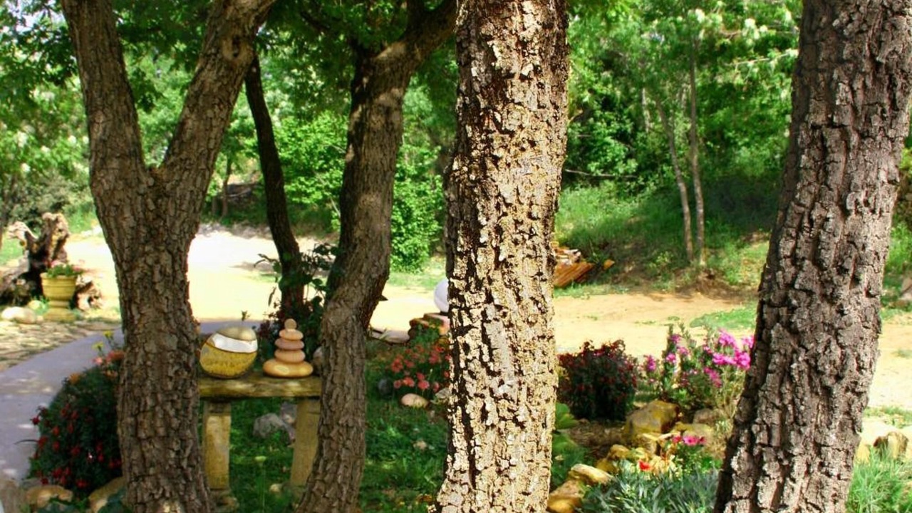 Photo of Outdoor in Pollina