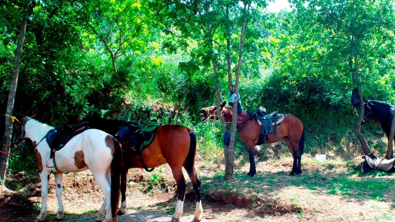 Photo of Others in Pollina