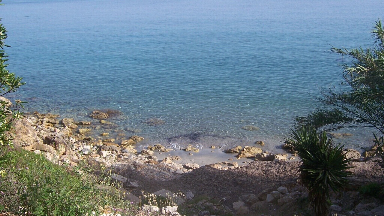 Photo of Others in Punta Milocca