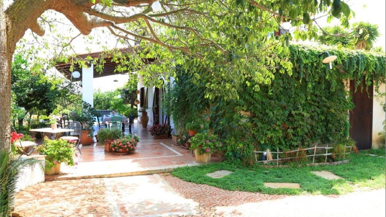 Photo of Outdoor in Ribera