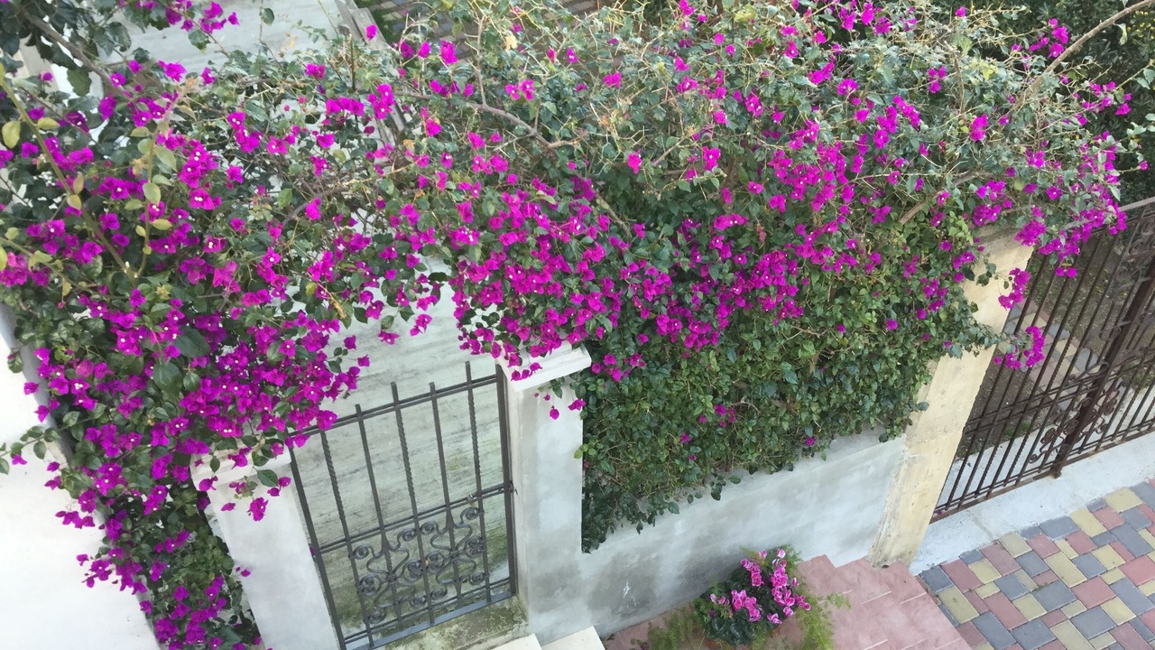 Photo of Outdoor in Torre di Faro