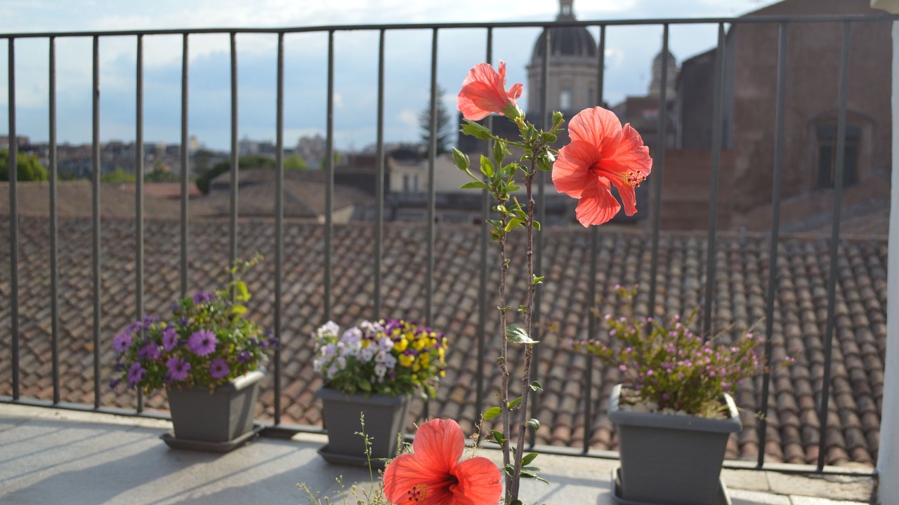 Photo of Patio Balcony in Catania City Centre