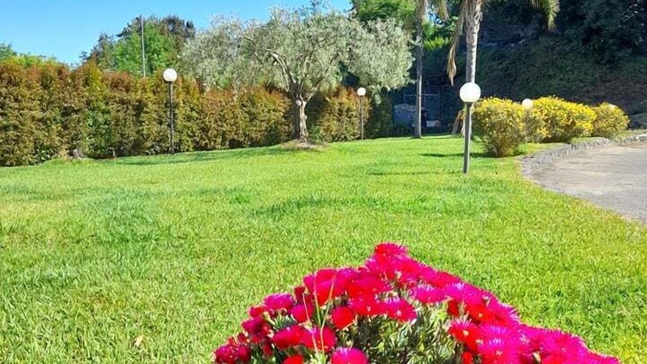 Photo of Outdoor in Zafferana Etnea