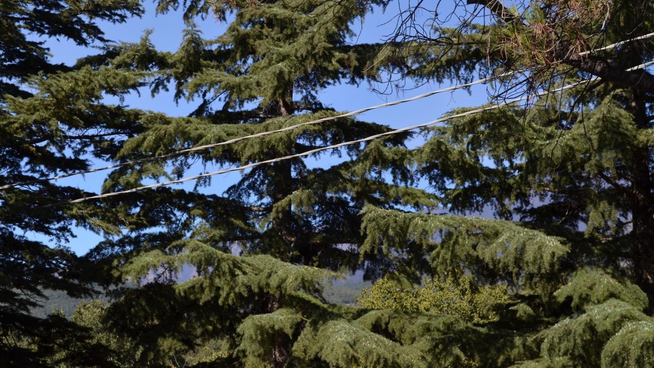Photo of Outdoor in Fornazzo