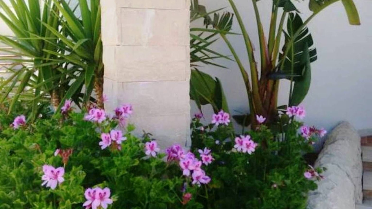 Photo of Outdoor in Scoglitti