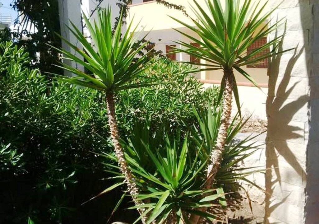 Photo of Outdoor in Scoglitti