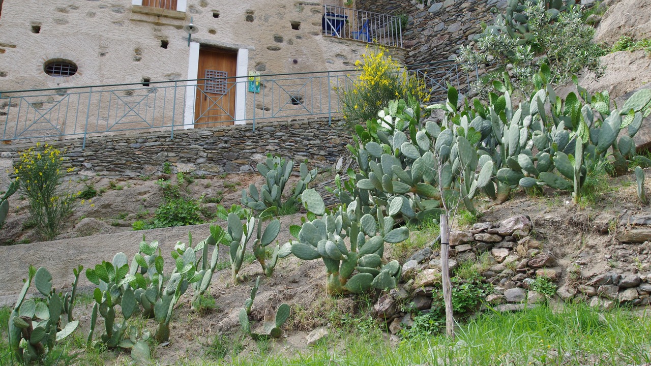 Photo of Outdoor in Belmonte Calabro