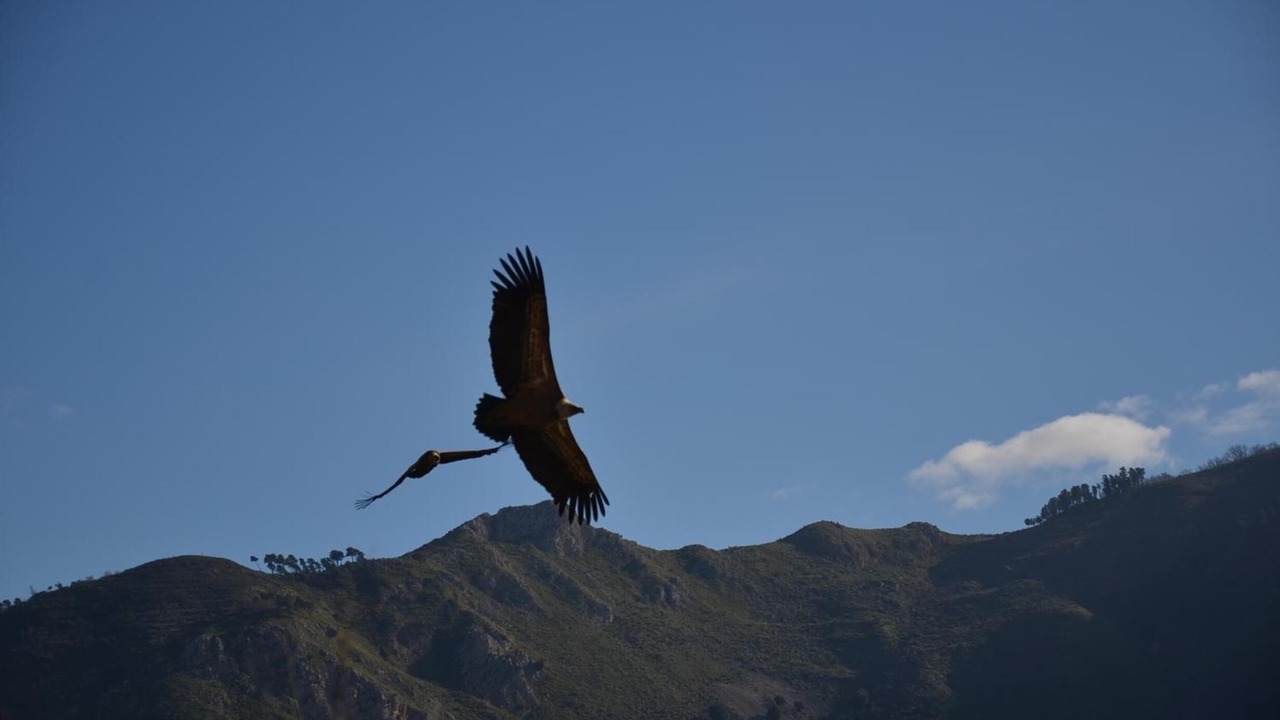 Photo of Others in Capo d'Orlando