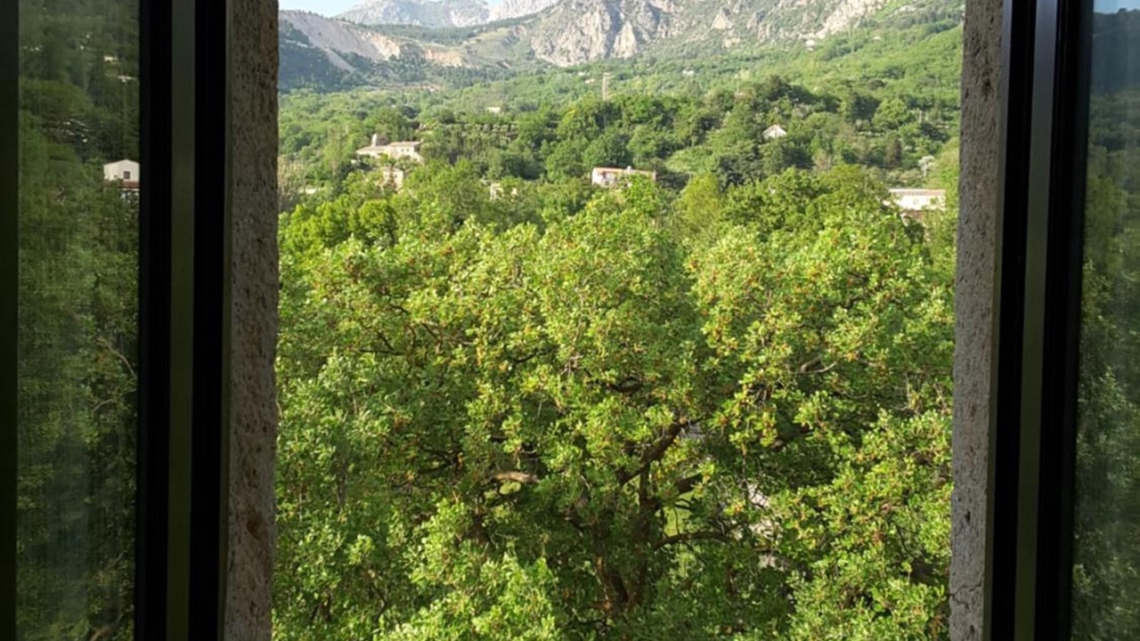 Photo of Others in Polizzi Generosa
