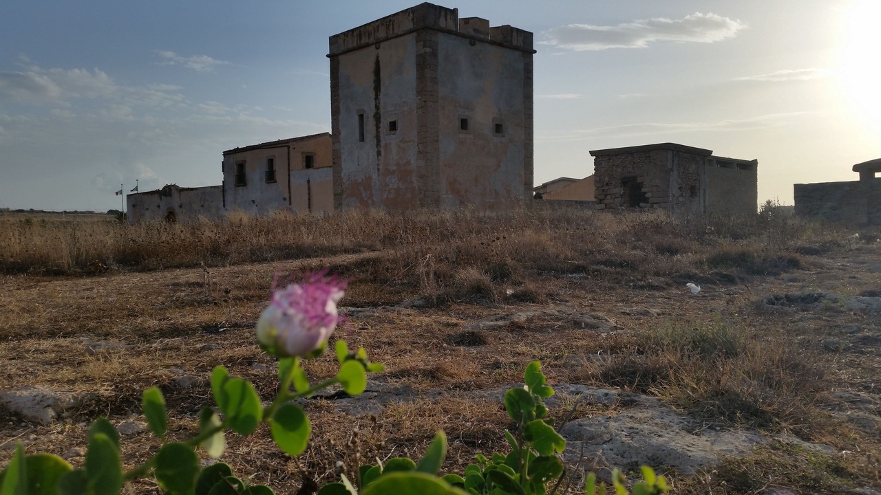 Photo of Outdoor in Cinisi