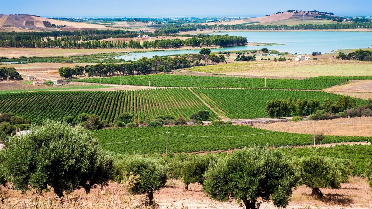 Photo of Outdoor in Mockarta