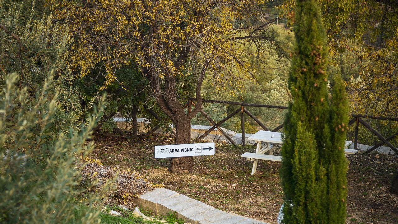 Photo of Outdoor in Noto