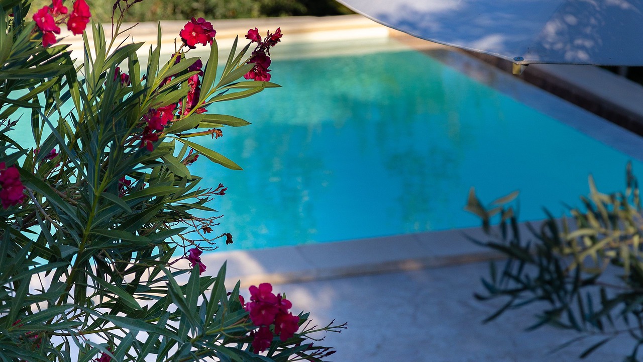 Photo of Outdoor in Noto