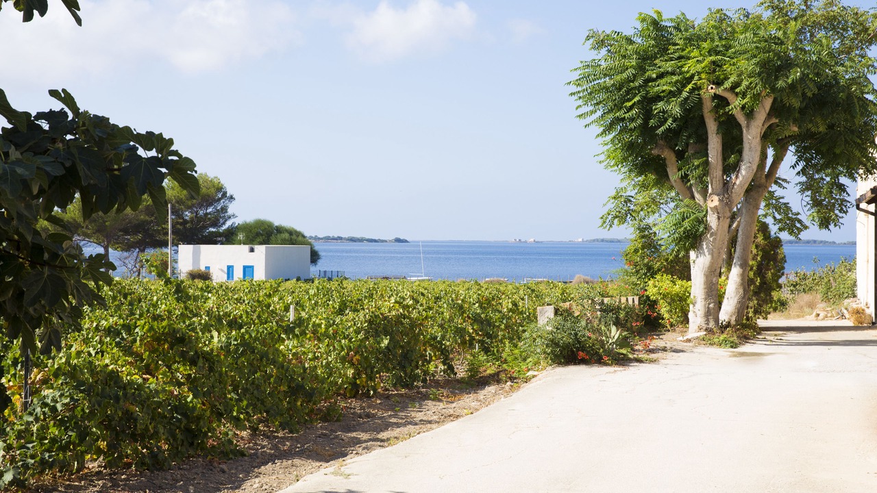 Photo of Outdoor in Birgi Vecchi