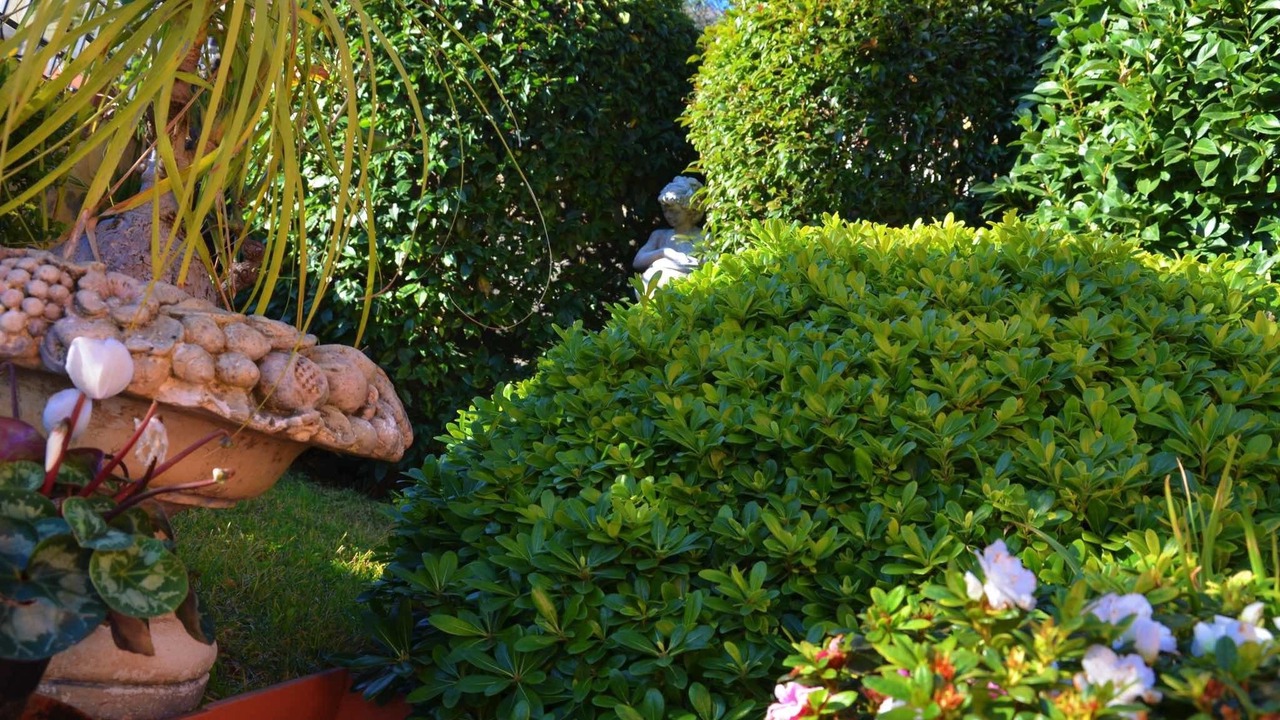 Photo of Outdoor in Zafferana Etnea