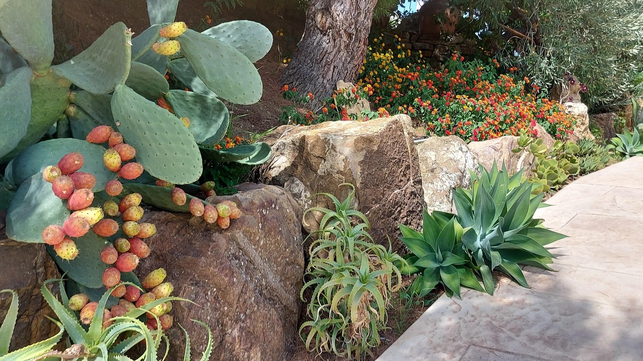 Photo of Outdoor in Calatafimi
