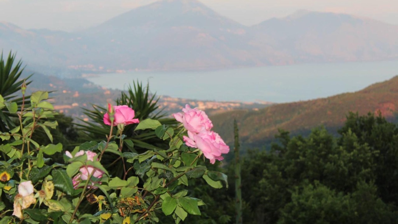 Photo of Outdoor in San Giovanni a Piro