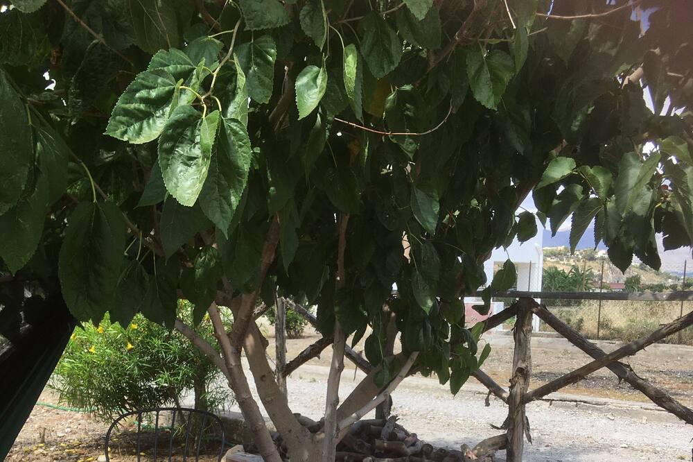Photo of Outdoor in Termini Imerese