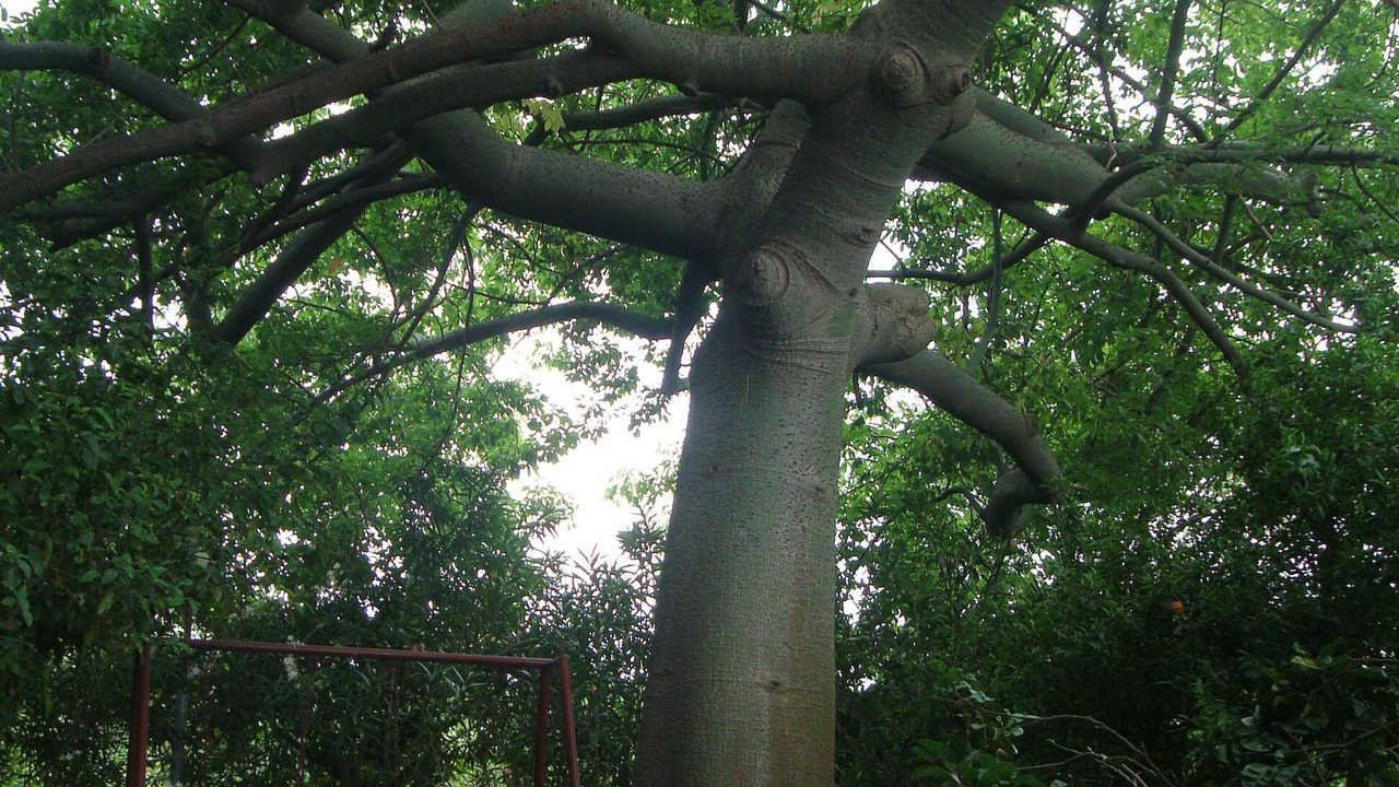 Photo of Outdoor in Sant'Anna