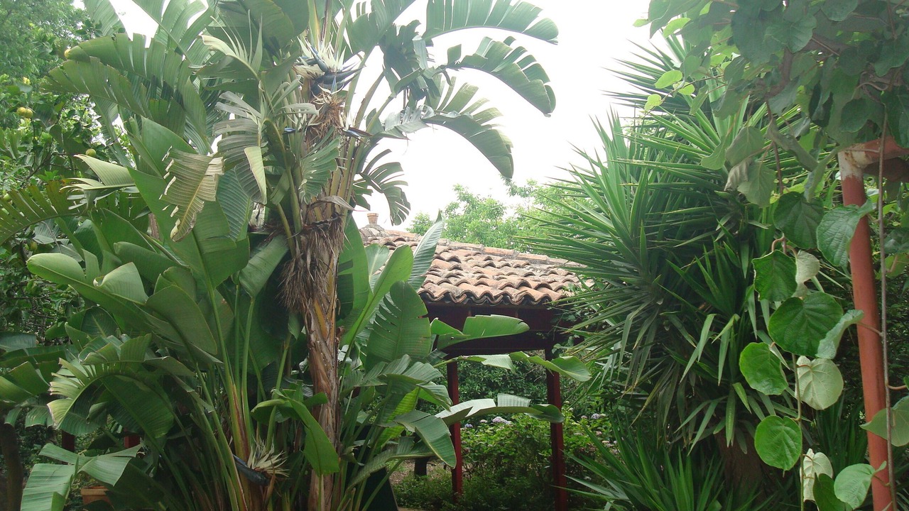 Photo of Outdoor in Sant'Anna