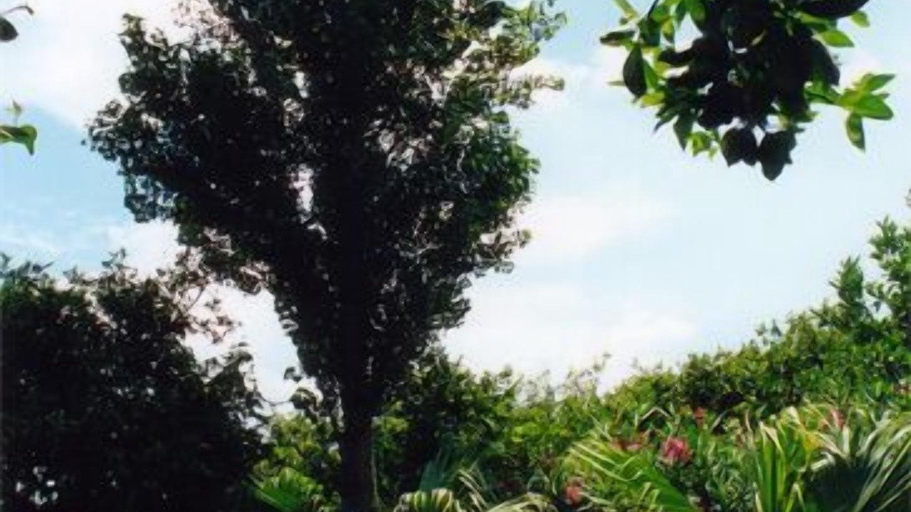 Photo of Outdoor in Sant'Anna