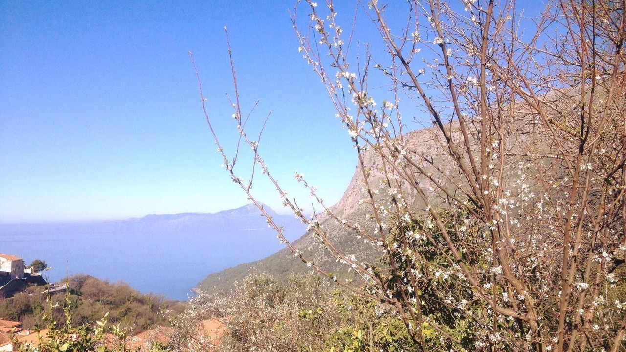 Photo of Others in Maratea