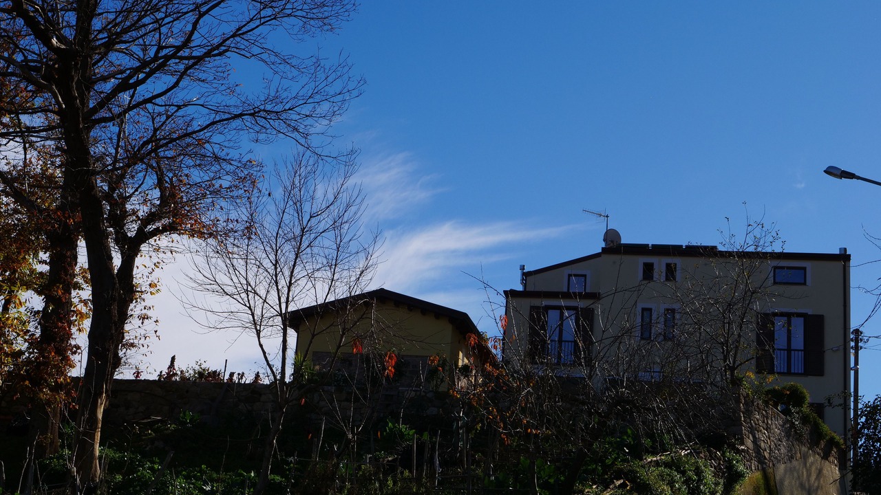 Photo of Outdoor in Longi