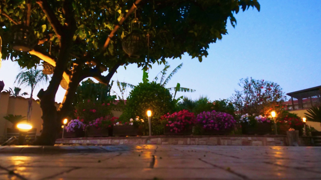 Photo of Outdoor in Villaggio Mose