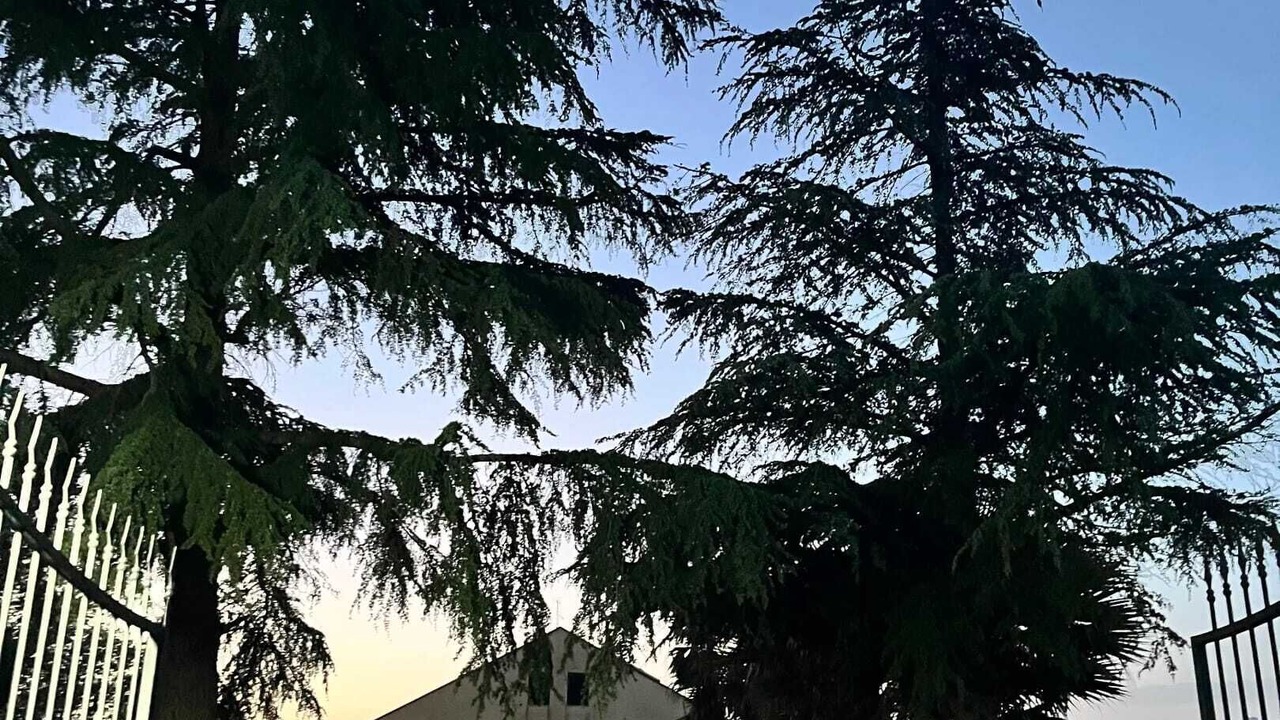 Photo of Outdoor in Pergusa