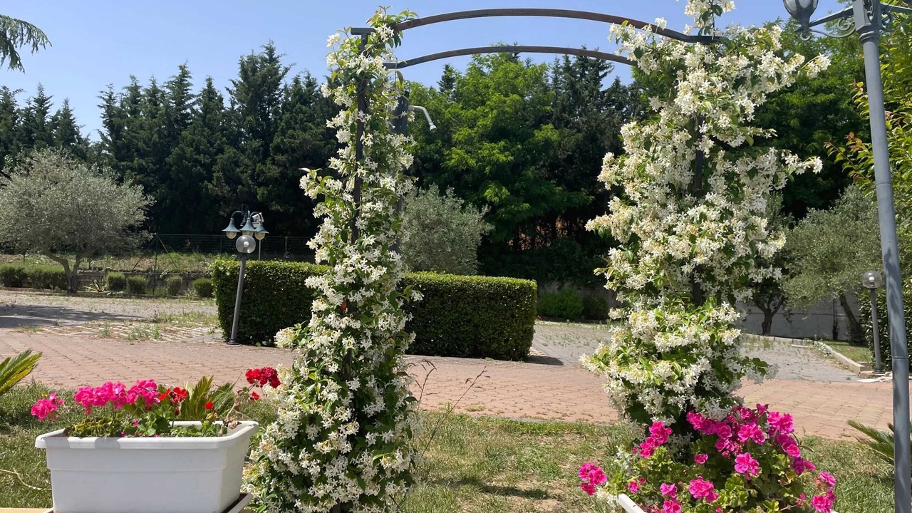 Photo of Outdoor in Pergusa