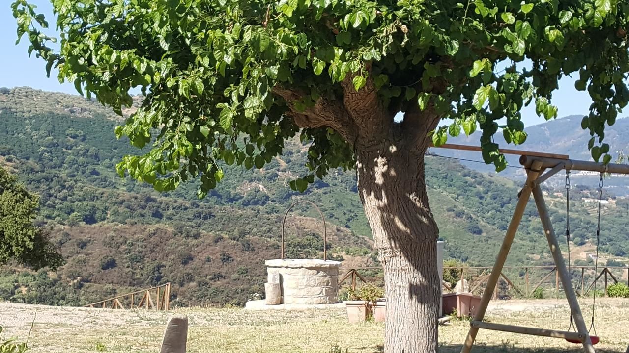 Photo of Outdoor in Patti