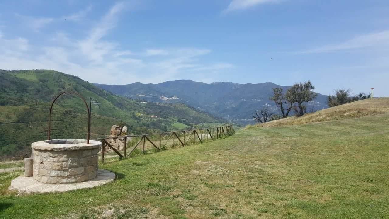 Photo of Outdoor in Patti