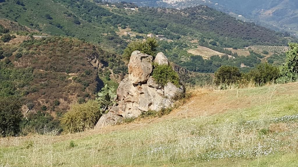 Photo of Outdoor in Patti
