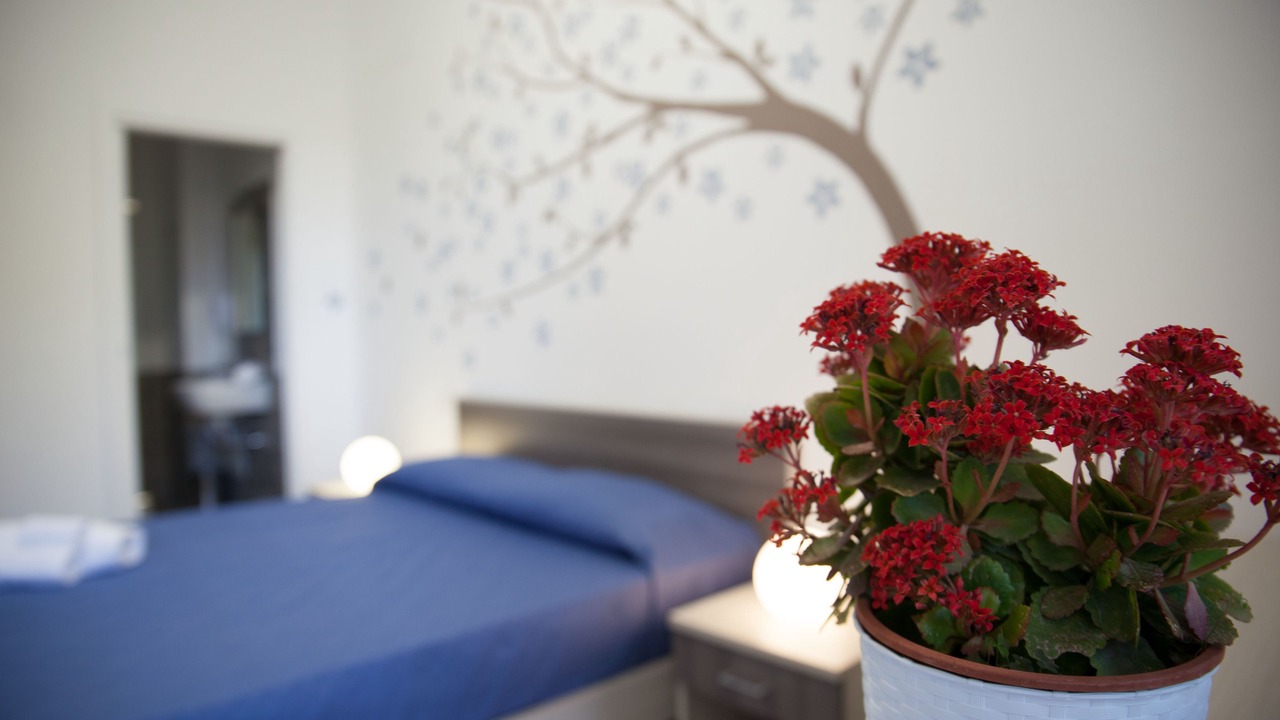 Photo of Bedroom in Custonaci