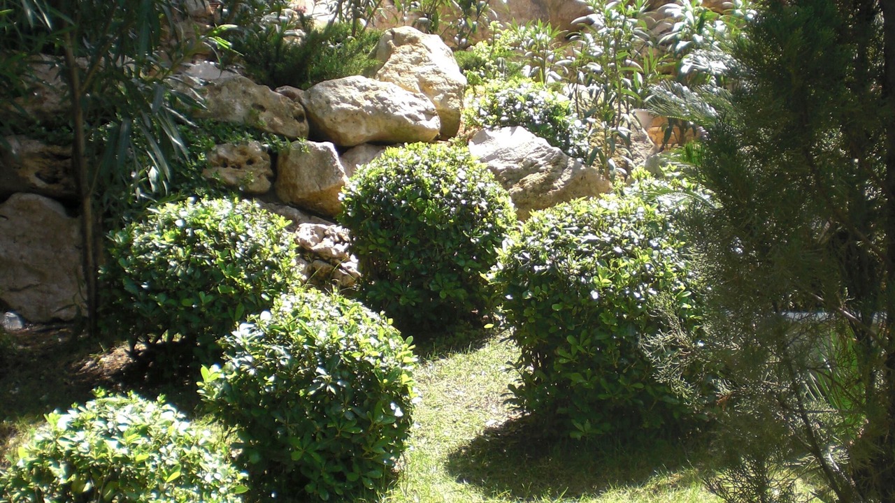 Photo of Outdoor in Alcamo