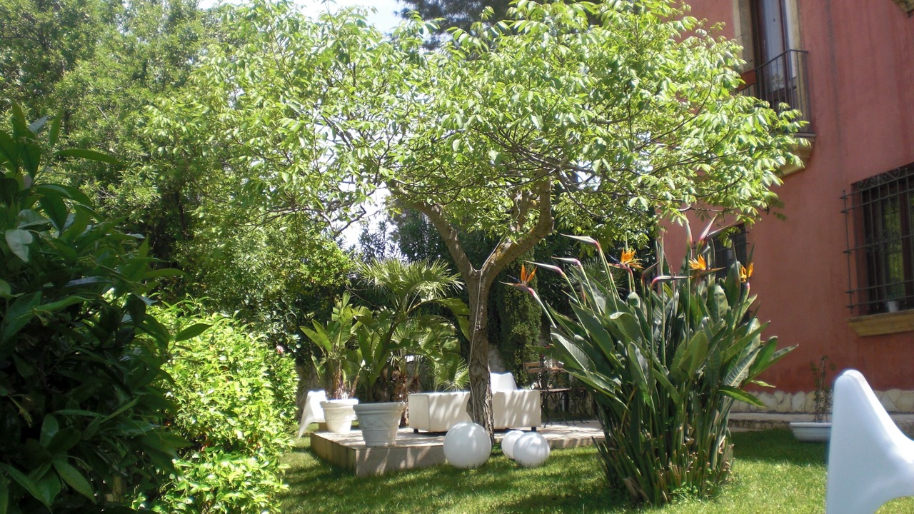 Photo of Outdoor in Alcamo