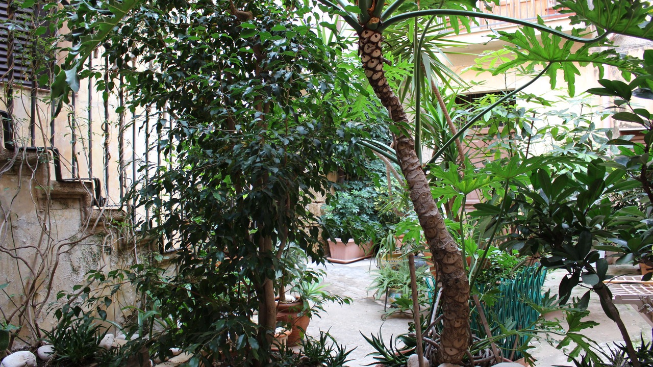 Photo of Outdoor in Sciacca Historic Centre