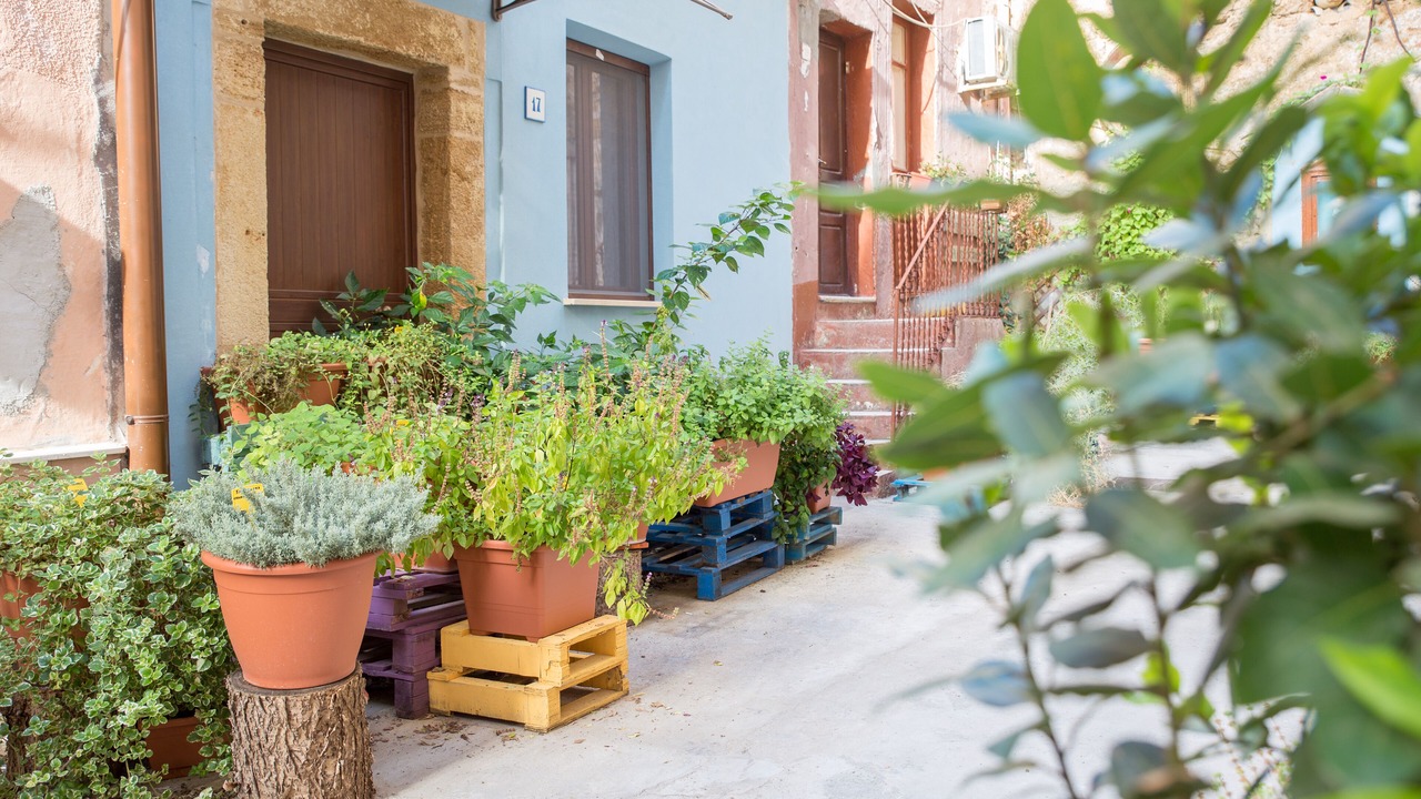 Photo of Outdoor in Sciacca Historic Centre
