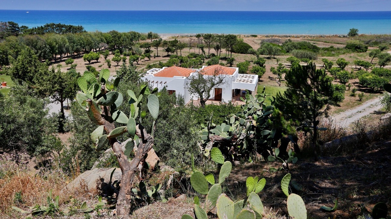 Photo of Outdoor in Capo