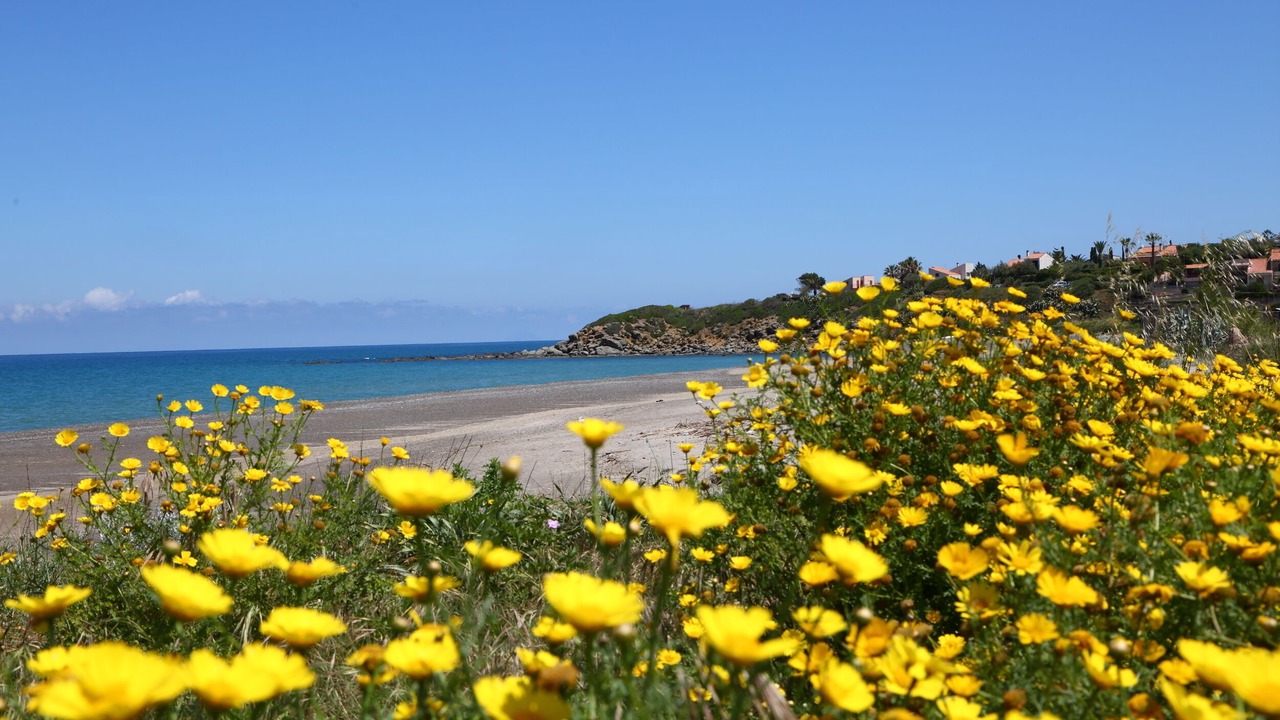 Photo of Others in Capo